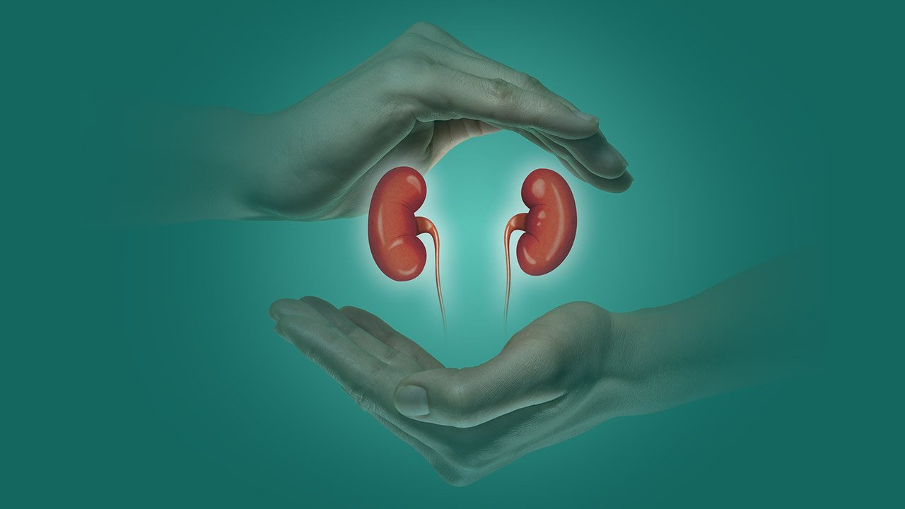 Enfermedades del Riñon