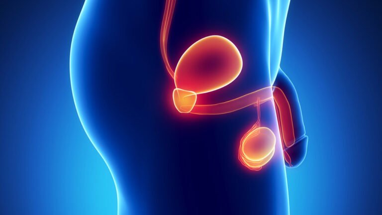 Enfermedades comunes de la Próstata