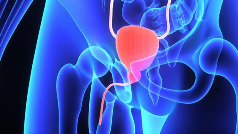 Qué es la Próstata