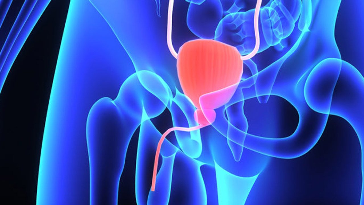 Qué es la Próstata