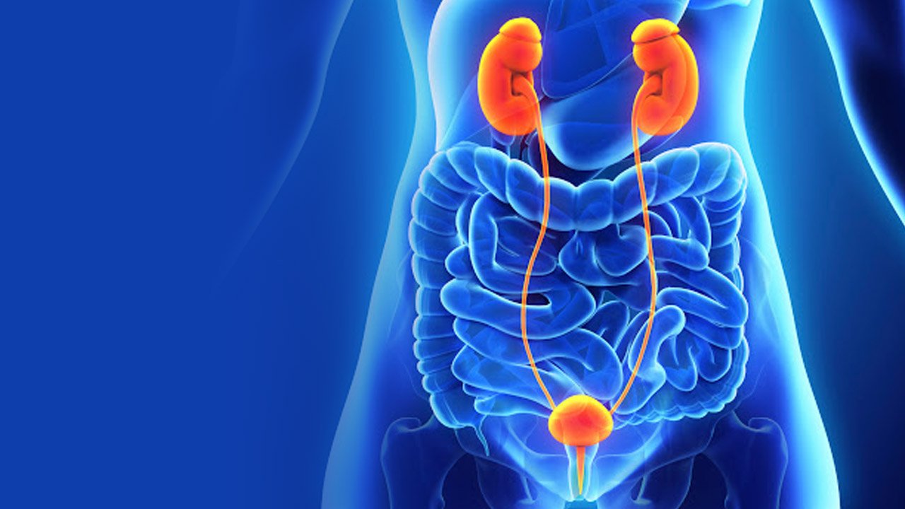 Urología para la Mujer